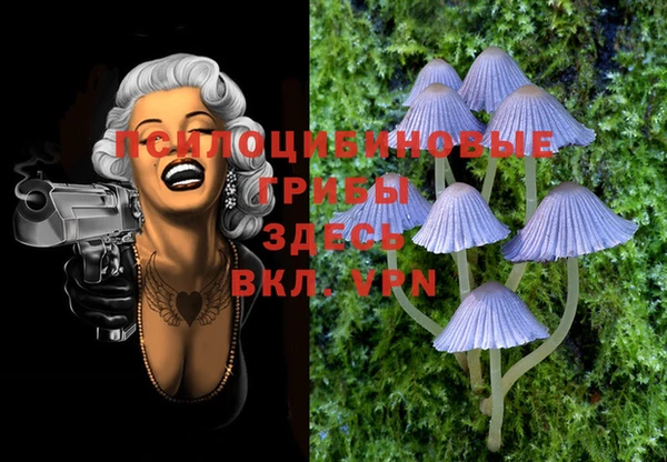 метамфетамин Тында